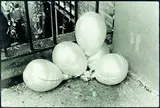 Neil Pardington, Balloons, silver gelatin print, 1998