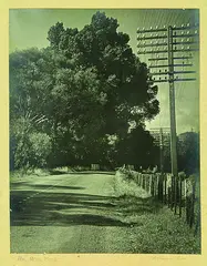 Chapman Taylor, The Open Road, gelatin silver print