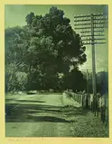 Chapman Taylor, The Open Road, gelatin silver print