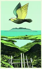 Kaiarara Kaka, Great Barrier by Don Binney, silkscreen print, 14/150, sold Aug 2012