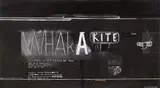 Shane Cotton, Whaka Kite Nga, acrylic on canvas
