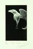 Bill Hammond, Giant Eagle, etching, 18/24
