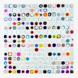 Glimpses of Ecstasy by John Reynolds, oil paint marker and acrylic on 260 canvas panels, offered Apr 2012
