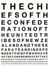 Waitangi, 1st Article, English (as signed) by David Hatcher, screenprint on acrylic, edition 4/5, sold Apr 2012