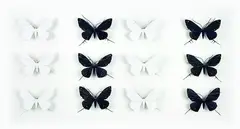 The Black and Whites XII by Elizabeth Thomson, patinated bronze on acrylic on board, offered Mar 2012
