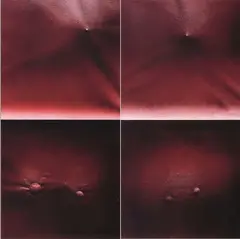 Mervyn Williams, Gallileo, acrylic on canvas, diptych