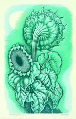 Eileen Mayo, Moon and Sunflower, screenprint, 1/35