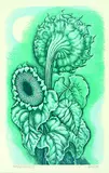 Eileen Mayo, Moon and Sunflower