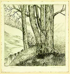 Hillside by Ernest Mervyn Taylor, wood engraving, offered Feb 2012