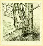 Ernest Mervyn Taylor, Hillside