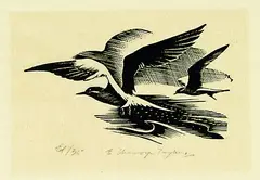 Terns by Ernest Mervyn Taylor, wood engraving, edition of 35, sold Feb 2012