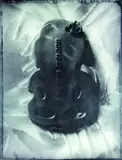 Air NZ Tiki by Fiona Pardington, gelatin silver hand print, edition of 5, offered Feb 2012