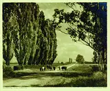 George Chance, Summer Days, South Canterbury