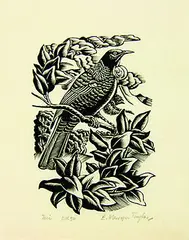 Tui by Ernest Mervyn Taylor, wood engraving, edition of 30, sold Feb 2012
