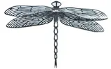 Virginia King, Kingteelii Uropetala, marine grade stainless steel with steel rod, base and original box,17/50 (2005)