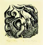 Ernest Mervyn Taylor, Fungi