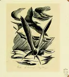 Ernest Mervyn Taylor, Terns