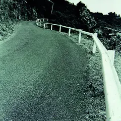 Rail Line on Road by Bill Culbert, gelatin silver print, offered Feb 2012