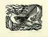 Ernest Mervyn Taylor, Fantail