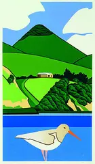 Robin White, Oystercatcher and Harbour Cone, silkscreen print, a/p