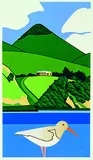 Robin White, Oystercatcher and Harbour Cone, silkscreen print, a/p