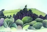 Don Binney, For St. Patrick MMI
