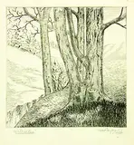 Ernest Mervyn Taylor, Hillside