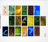 April Shin, Tempo of Diversity II, mixed media on board