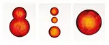 Neil Fraser, Untitled - Three Part Piece, oil and acrylic on canvas, triptych