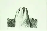 Tony Fomison, Papatuenuku, lithograph, 2/12