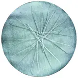 Luise Fong, Circle Hold