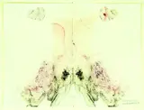 Julia Morison, Centrefold 28, "dragons blood", ink and pastel on bible paper