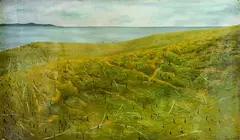 Johanna Pegler, Wild Mutton, oil on paper