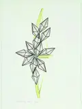 Andrew Drummond, Towards a Crystal Wheel, ink and wash and watercolour on paper