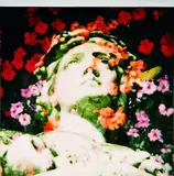 Paul Hartigan, Godess of Love