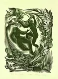 Ernest Mervyn Taylor, Tane the Creator