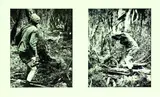 Les Cleveland, Cutting Silver Pine, South Westland