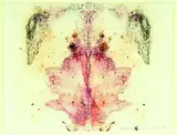 Julia Morison, Centrefold 26, "dragons blood", ink and pastel on bible paper