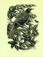 Tui by Ernest Mervyn Taylor, wood engraving, edition of 30, sold Aug 2011