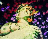 Paul Hartigan, Goddess of Love