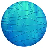 Luise Fong, Port Hole Network