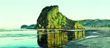 Justin Boroughs, Lion Rock, Piha, oil on board