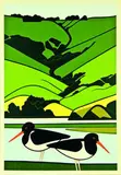 Robin White, Oystercatchers, silkscreen print, 29/50