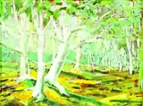 Garth Tapper, Landscape