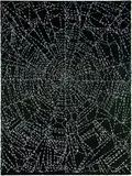 John Reynolds, This is not History (Black)