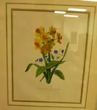 Narcisse jaune et Cynoglosse by French Artist unknown, early 19th century, handcoloured lithograph, sold Jul 2011