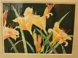 Study of Day Lilies by Kathleen Kolb Fisher, watercolour, sold Jul 2011