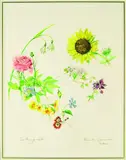 Valentine Lawford, Flowers from Barry's Garden, watercolour