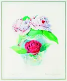 Valentine Lawford, Camellia Japonica, watercolour