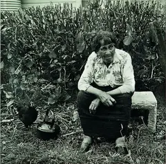 Marti Freidlander, Ruawha Tamaiparea, Taranaki, 1970, 1970, gold-toned gelatin silver print